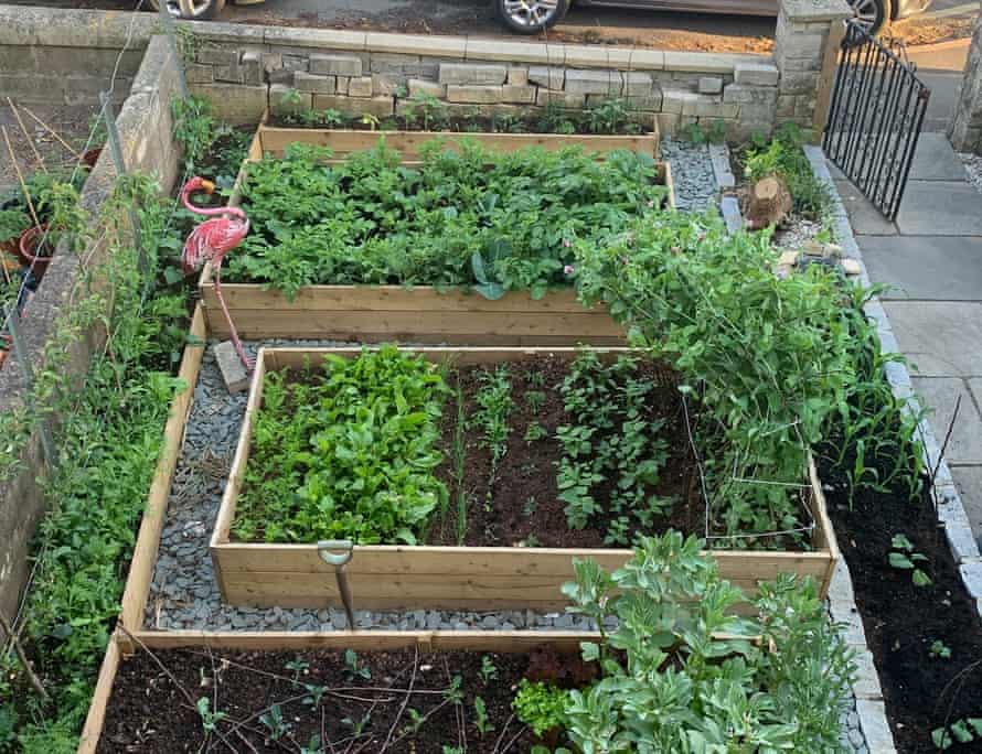 Georgina Quin’s front garden, with pink flamingo standing guard