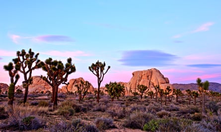Joshua Tree national park was among those with poor air quality.
