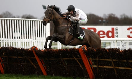 Constitution Hill is expected to be the darling of March’s Cheltenham Festival.