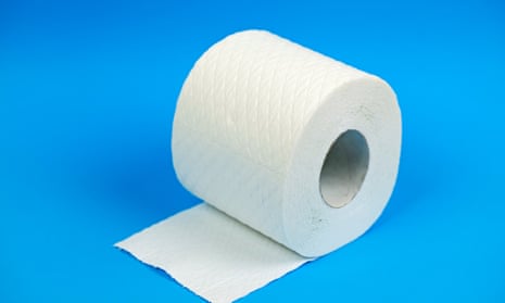 A toilet paper roll, on its side, with one square unfurled