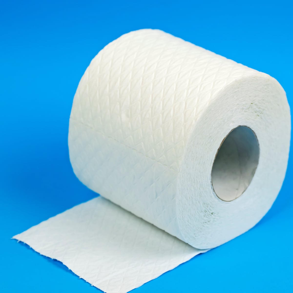 Caught short: lack of recycled toilet paper in UK 'fuelling deforestation', Trees and forests
