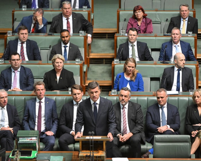 Liberals re-examine gender quotas in slew of proposals to make party ‘fit-for-purpose political machine’