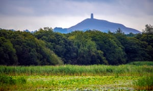Reeded pools and lakes at Avalon Marshes, with Glastonbury Tor in distance.