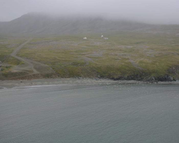 Tragedy in Alaska: Charter Plane Crash Claims Eight Lives in Foggy Conditions