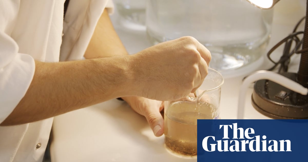 Sydney’s archaic sewerage system a ‘significant’ source of microplastic pollution, CSIRO finds | Sydney Sydney’s archaic sewerage system a ‘significant’ source of microplastic pollution, CSIRO finds | Sydney