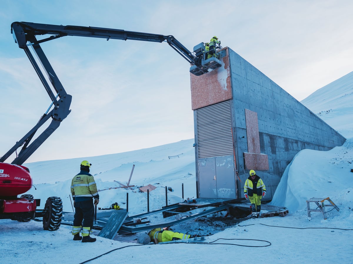 Newly Waterproofed Arctic Seed Vault Hits 1m Samples Conservation The Guardian Newly Waterproofed Arctic Seed Vault Hits 1m Samples Conservation The Guardian