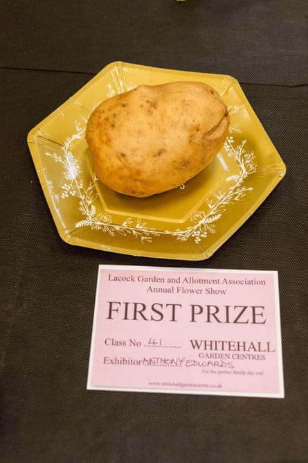 A potato on a plate next to which is a piece of paper on which the words ‘first prize’ are printed.