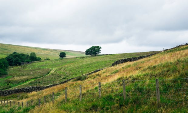 Moorland at Alcomden Water