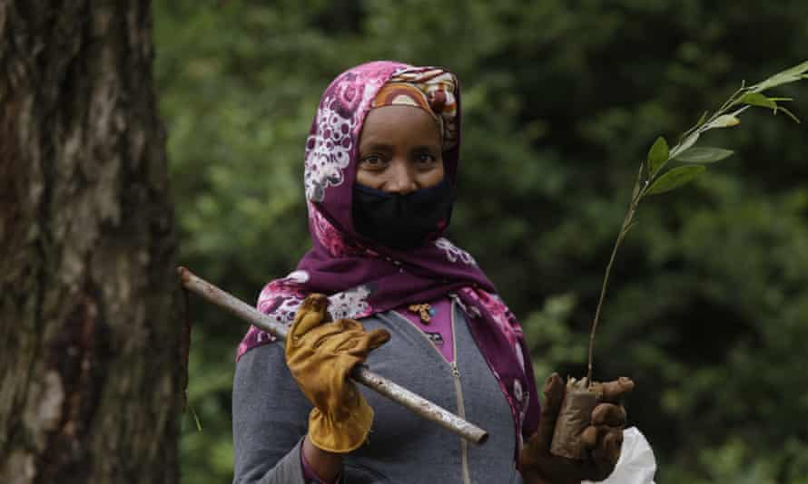 Seorang wanita berpartisipasi dalam kampanye penanaman pohon nasional Ethiopia.