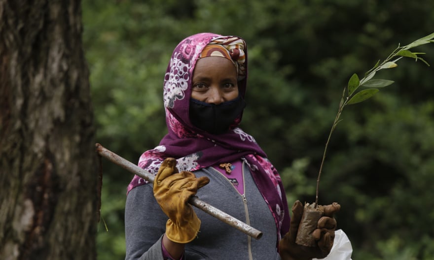 A woman taking part in Ethiopia’s national mass tree-planting drive.