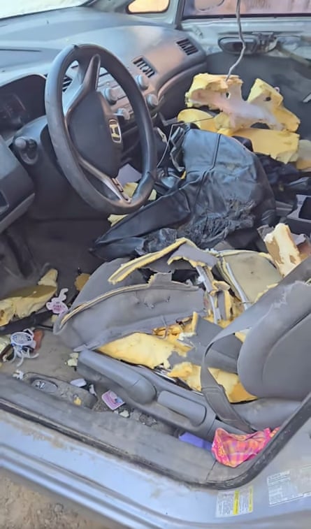Bear shreds seats then dozes off after breaking into Canadian woman s car Bear shreds seats then dozes off after breaking into Canadian woman s car