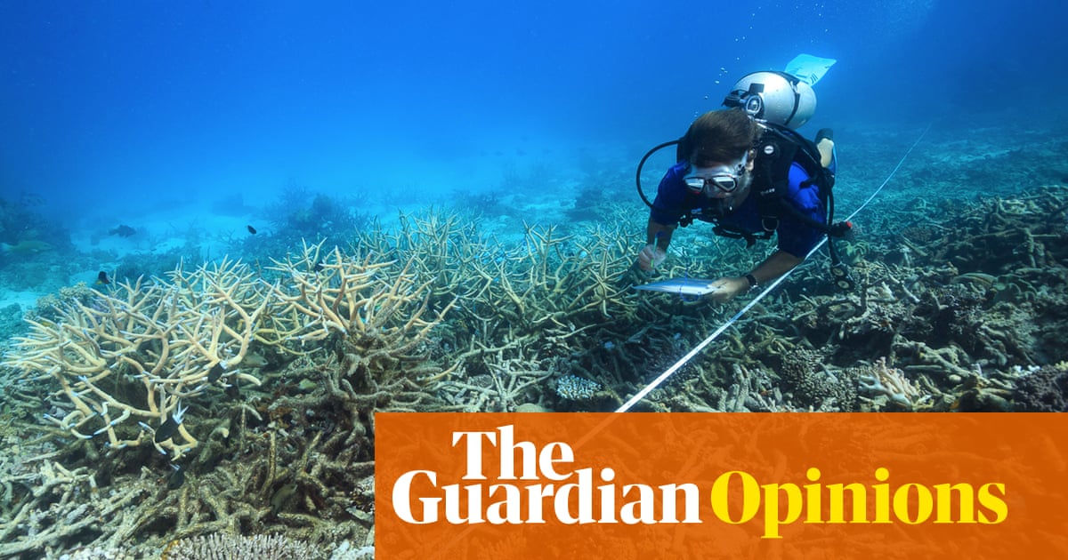 Australia's politicians have betrayed the Great Barrier Reef and only ...