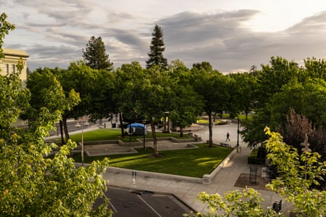 trees over a green grassy area