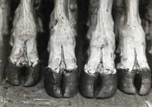 Eli Lotar: the realist surrealist – in pictures | Art and design | The ...
