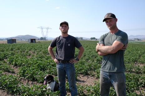 Bryce Balin, right, and Trent Balin, with his dog Colter, at a potato field on their farm outside Klamath Falls, Oregon.