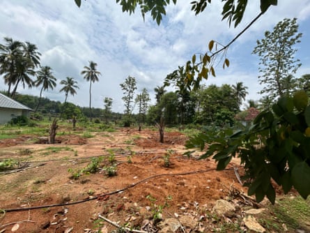 Lost to history … the former grounds of Palayil in 2024, with barely a trace of the former building showing in a scene of bare earth and palm trees.