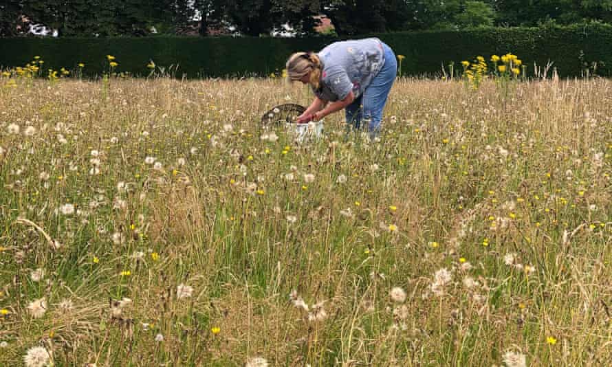 Sarah Gelpke carrying out a survey of Heigham Park tennis courts