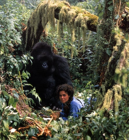 As Dian Fossey in Gorillas in the Mist.