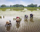Peasants by Maryam Aslany review – why an ancient way of life may hold the key to our future