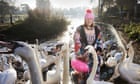 Escape your comfort zone: I love swimming outdoors - so I decided to confront my deep fear of swans