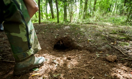 An animal rights activist surveys a badger sett in a Gloucestershire wood.