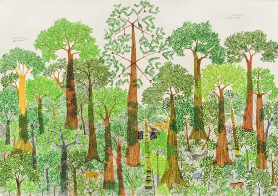 Evoking the Amazon … Terraza Alta II by Abel Rodríguez.