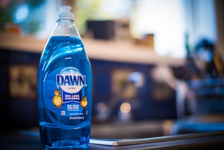 Dawn brand dish soap is arranged for a photograph taken in Hastings on Hudson.