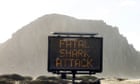 California officials close beaches after man dies in shark attack thumbnail