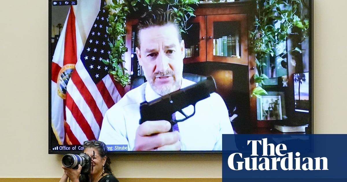 Republican displays handgun collection during House hearing on gun reform – video
