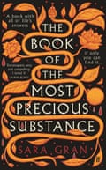 The Book of the Most Precious Substance by Sara Gran
