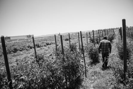 man walks on path in field