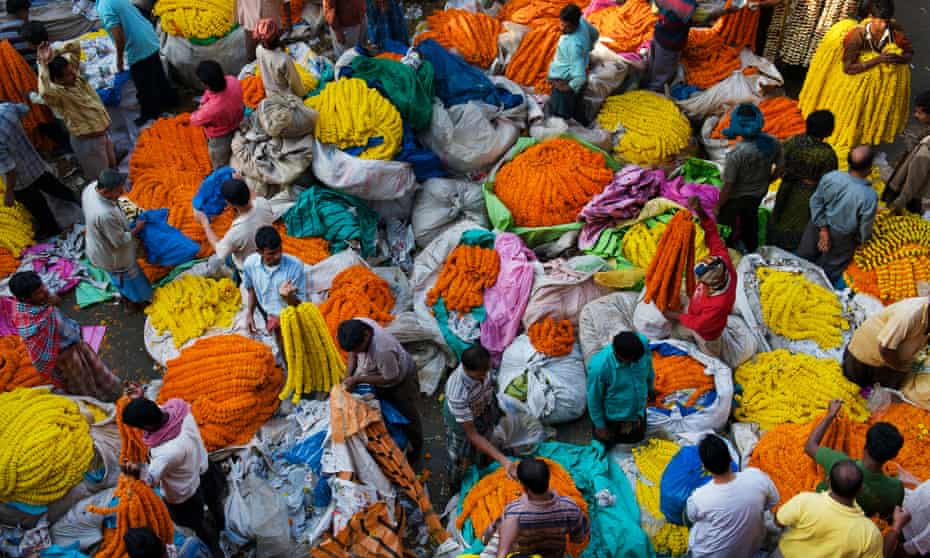 Bright side … Malik Ghat wholesale flower market, Kolkata, West Bengal, India