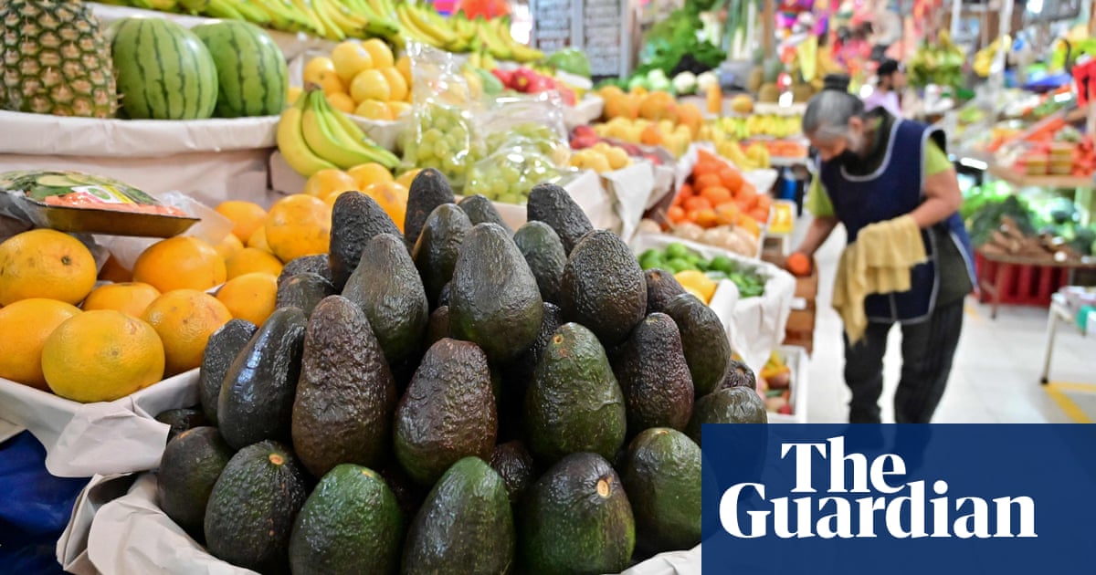 Holy guacamole: US gives green light to Mexico avocado imports after short ban | Biden administration | The Guardian
