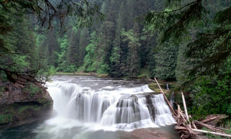 Federal land, such as the Lewis River Gifford Pinchot national forest in Washington state, could be opened up for logging, mining and other commercial activities if House Republicans have their way.