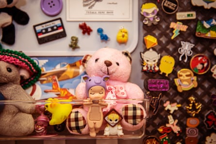 Fluffy toys and fridge magnets displayed in a vertical box