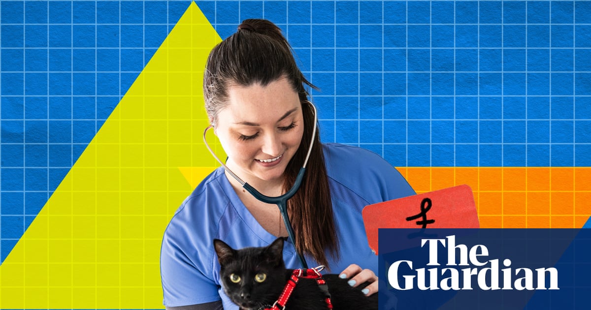 Why do vets charge more to scan an animal than a private hospital would to scan a human?