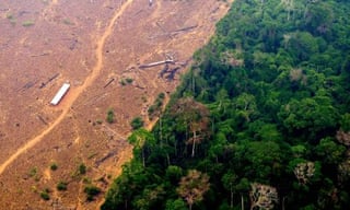 Amazon deforestation falls over 60% compared with last July, says Brazilian minister