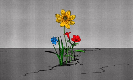 An illustration of brightly coloured flowers growing out of a crack in a road