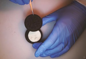 Removal of Oreo cream in preparation for the transplant.