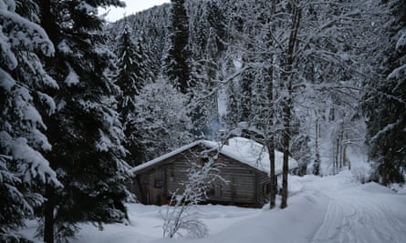 The hut is set in deep forest.