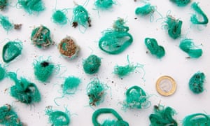 Some of the bundles of green plastic fishing net and twine that had been regurgitated by gulls, collected from Mullion island.