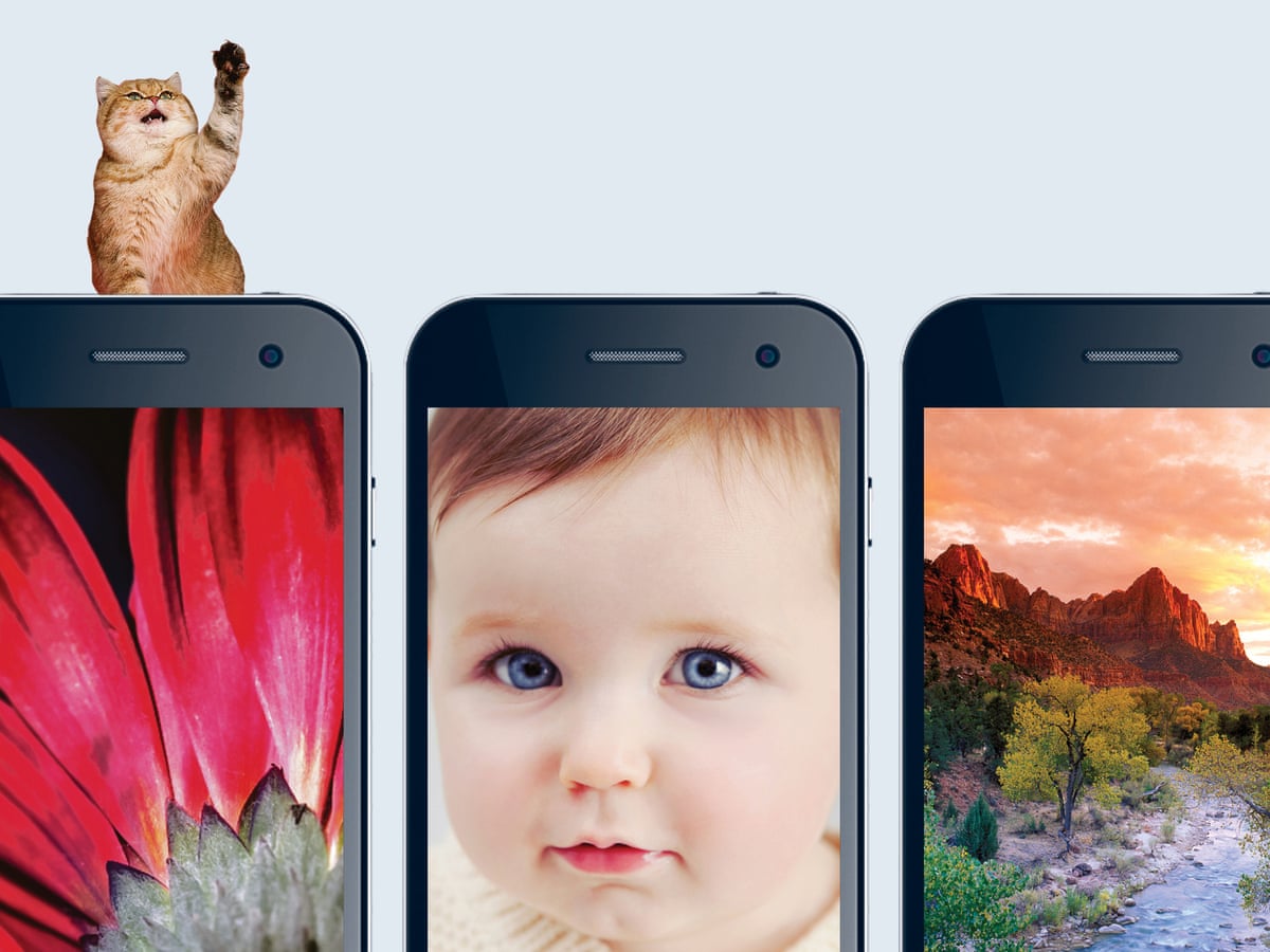 Selfie Baby Or A Picture Of Your Cat What Your Phone Background Reveals About You Life And Style The Guardian