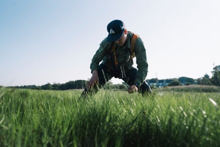 A man in a cap peers into long grass