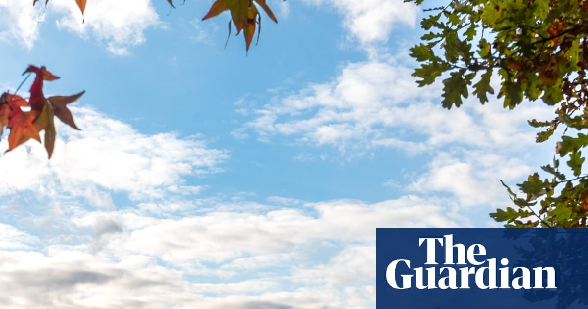 No longer ‘unloved’: retailers investing more in physical stores, UK data shows