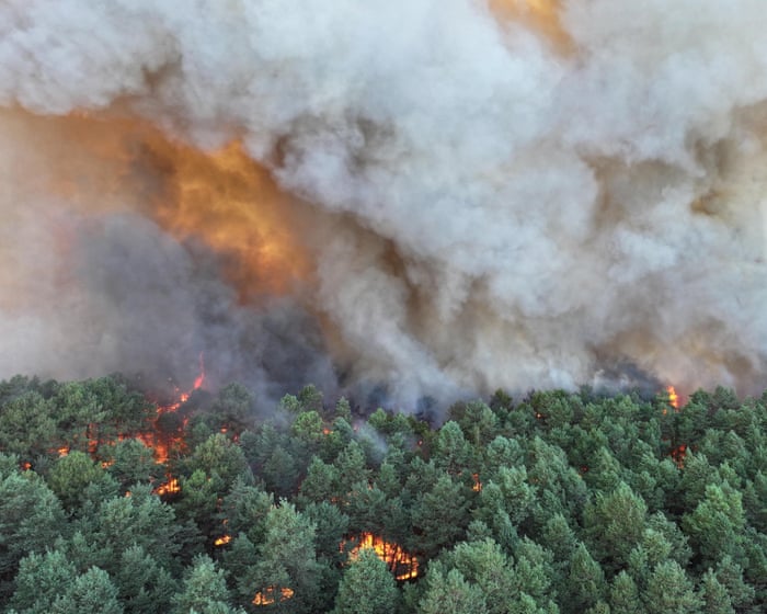 Fire bomber planes battle Fointaineblue forest blaze near Paris