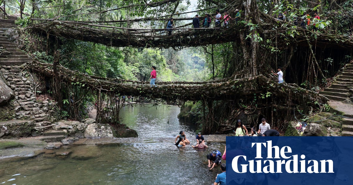 ‘The knowledge of our elders’: India’s living root bridges submitted to Unesco
