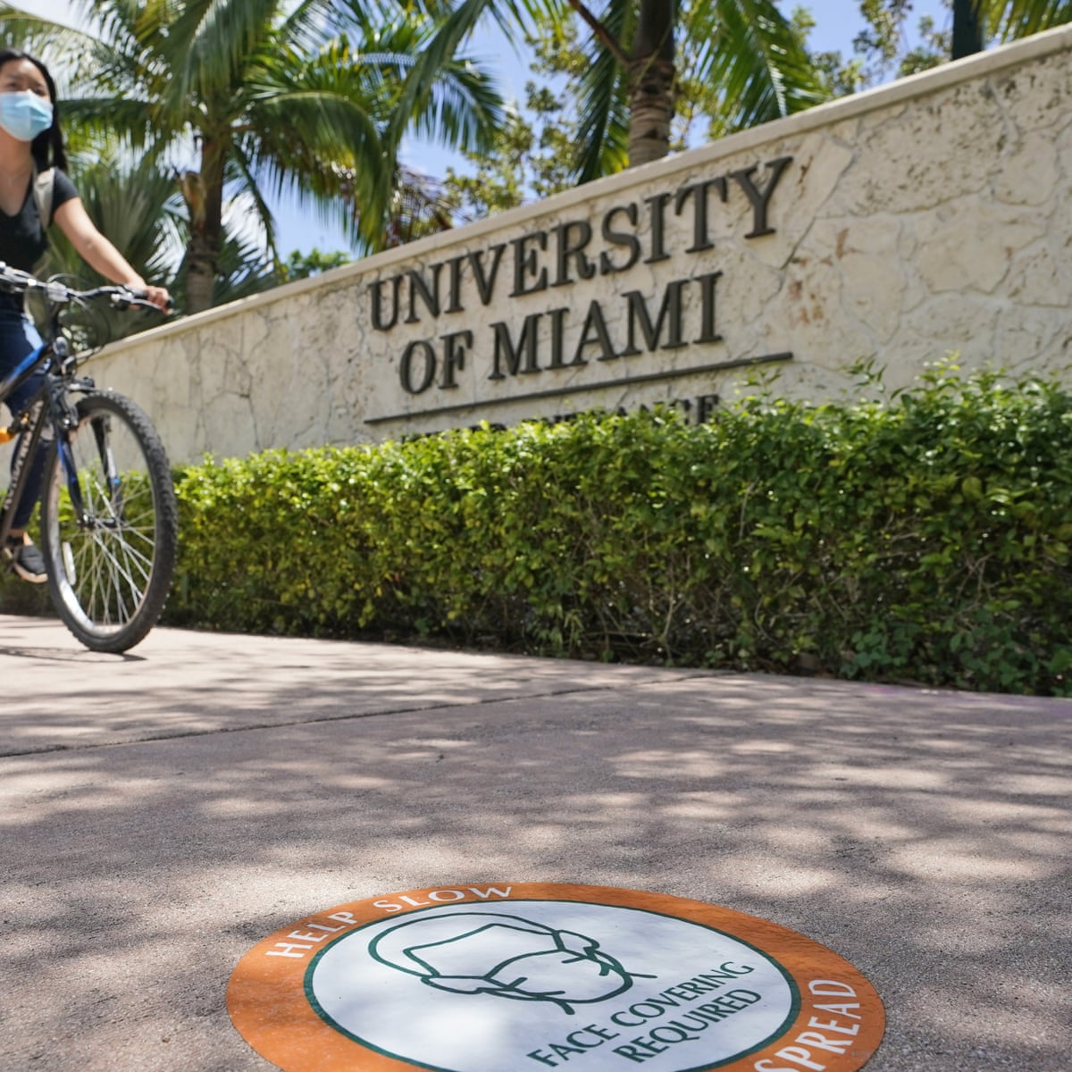 The University Of Miami Is Led By An Infectious Disease Expert So Why The Fear Miami The Guardian The University Of Miami Is Led By An Infectious Disease Expert So Why The Fear Miami The Guardian