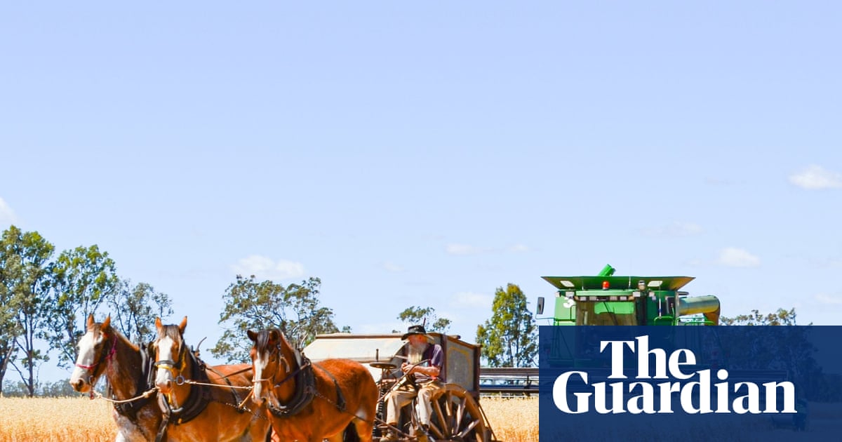 Regional Australians on the fuel crisis: ‘Every morning I wake to see the diesel price has gone up’