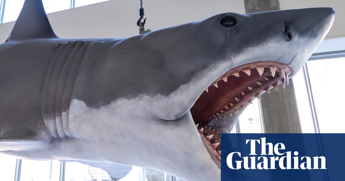 ‘We want people to freak out’: inside Hollywood’s Museum of Motion Pictures