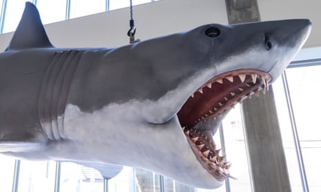 We’re going to need a bigger museum … ‘Bruce’, the animatronic shark from Jaws, now installed at the museum.